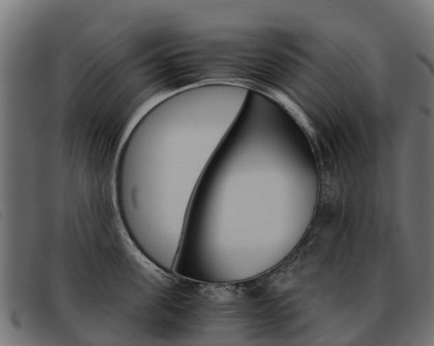 X0000093590955200710151015