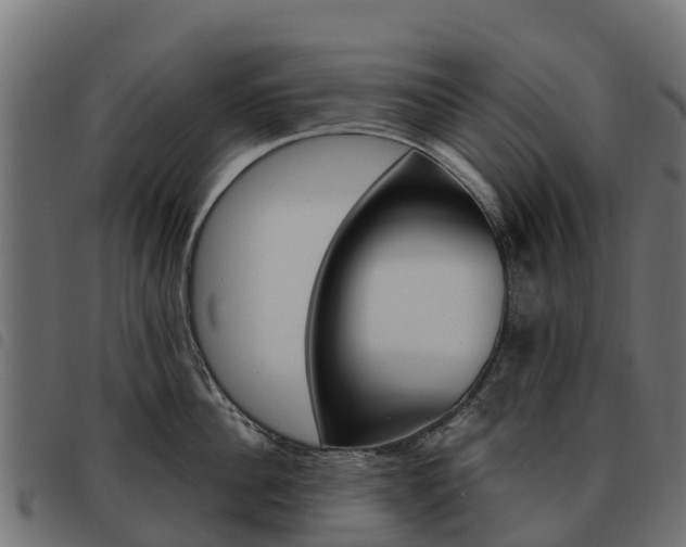 X0000093590956200710151015