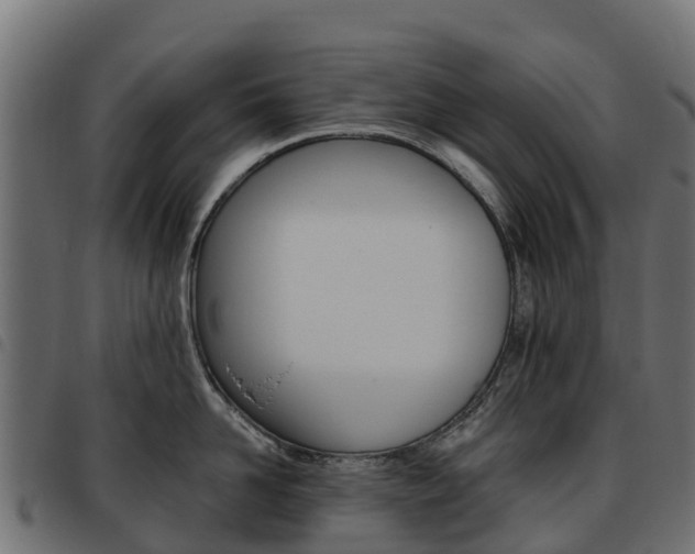 X0000093590958200710151015