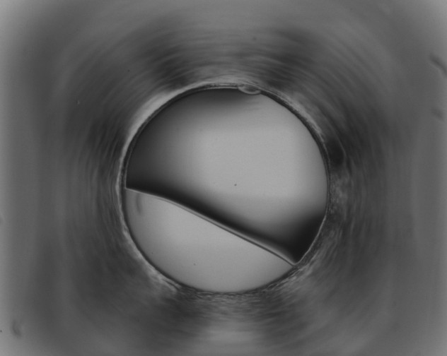 X0000093590959200710151015