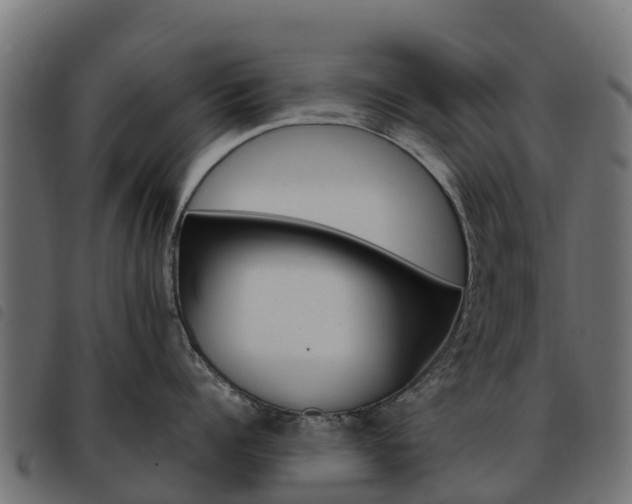 X0000093590960200710151015