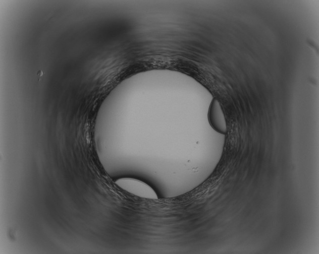 X0000093590962200710151014