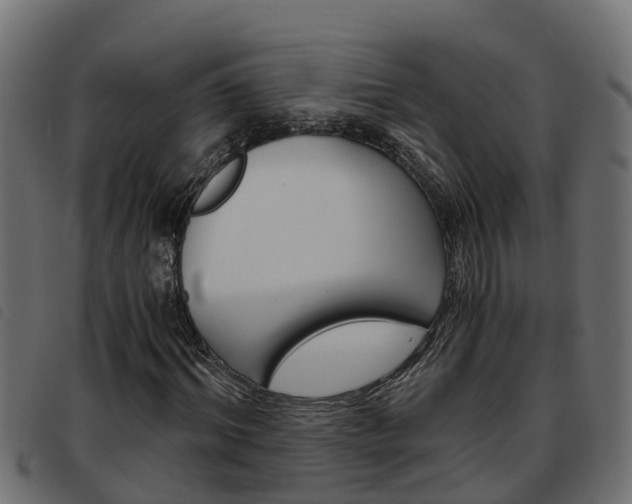 X0000093590964200710151014