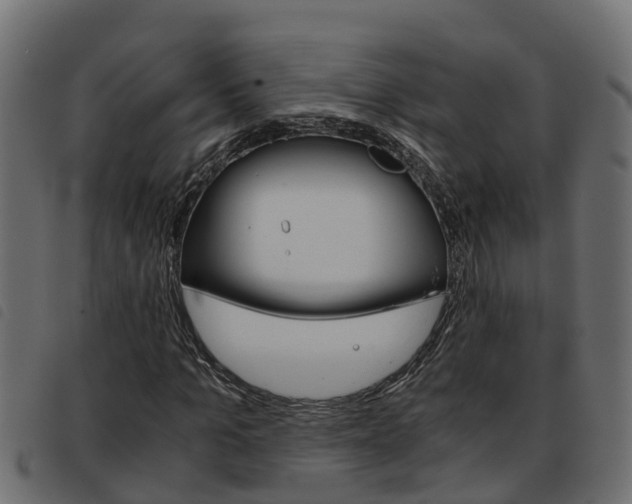 X0000093590965200710151014