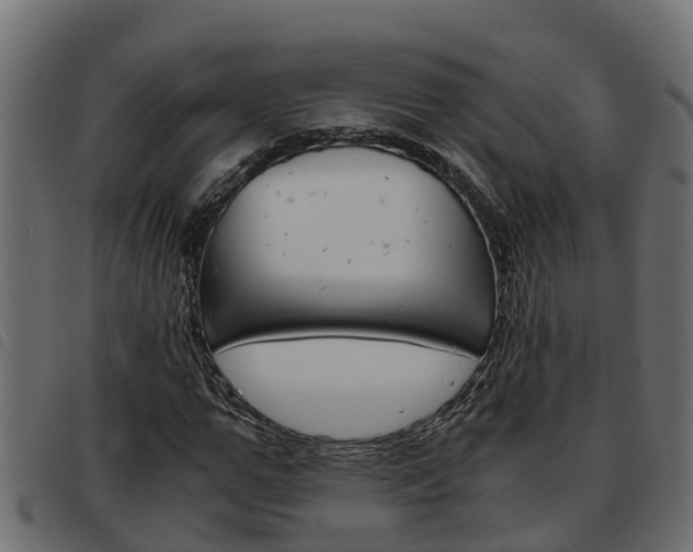 X0000093590967200710151014