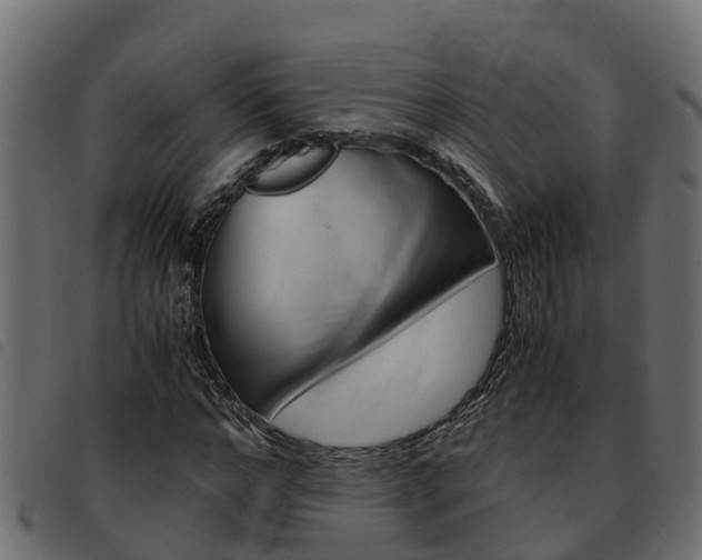 X0000093590968200710151014