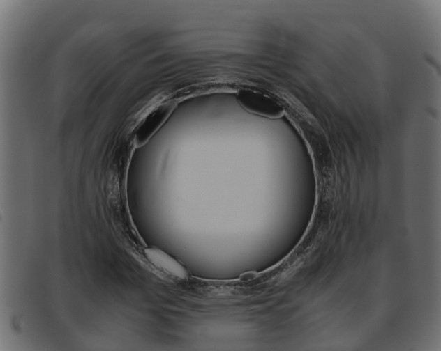 X0000093590969200710151014
