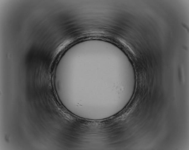 X0000093590970200710151014