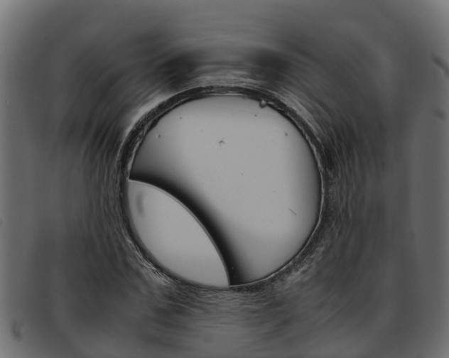 X0000093590971200710151014
