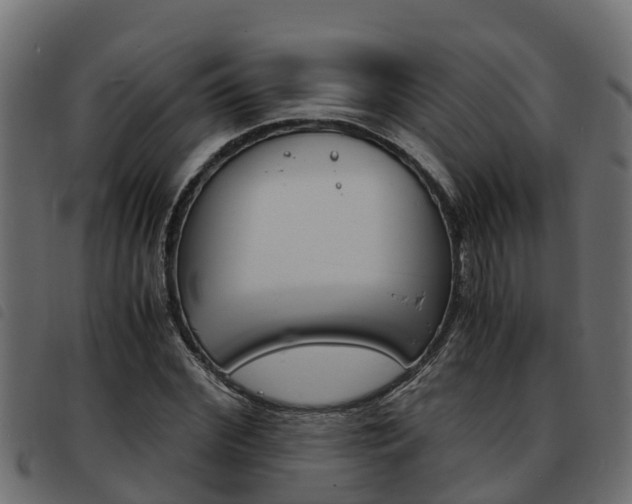 X0000093590972200710151014