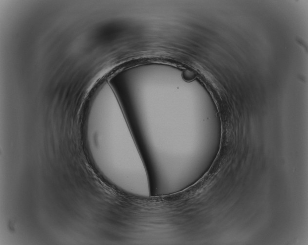 X0000093590975200710151014