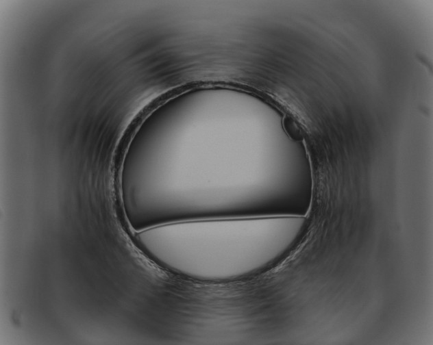 X0000093590976200710151014