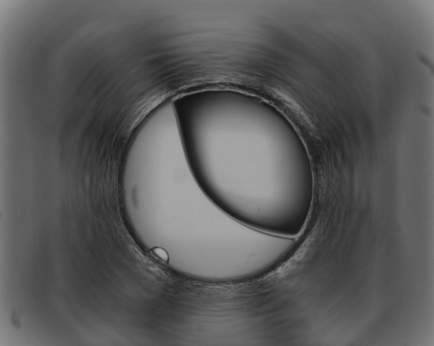 X0000093590977200710151014