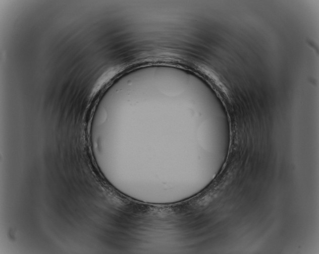 X0000093590978200710151014