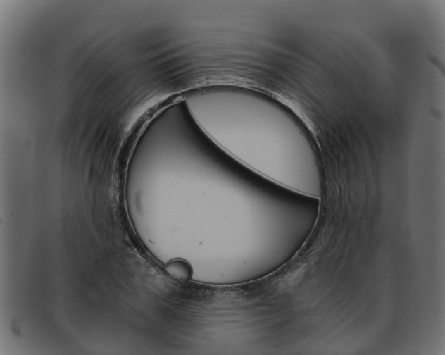 X0000093590979200710151014