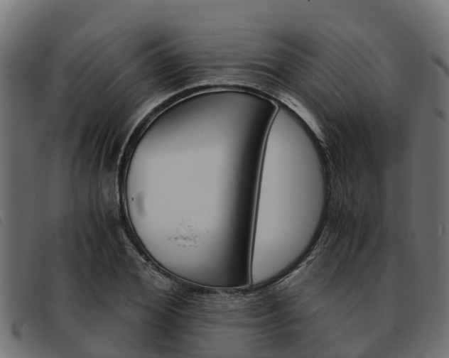 X0000093590980200710151014