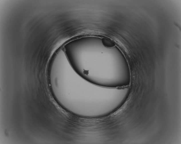 X0000093590981200710151014