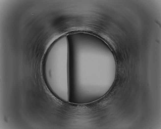 X0000093590983200710151014