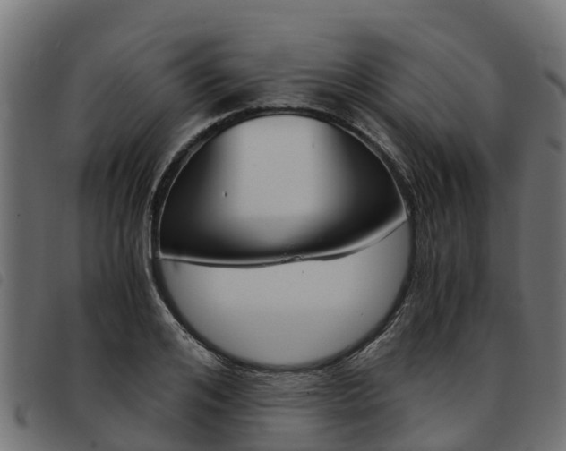 X0000093590984200710151014