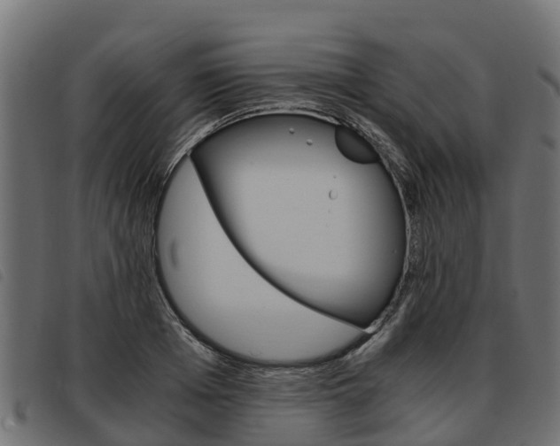X0000093590985200710151014