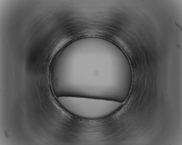 X0000093590986200710151014