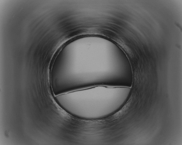 X0000093590988200710151014