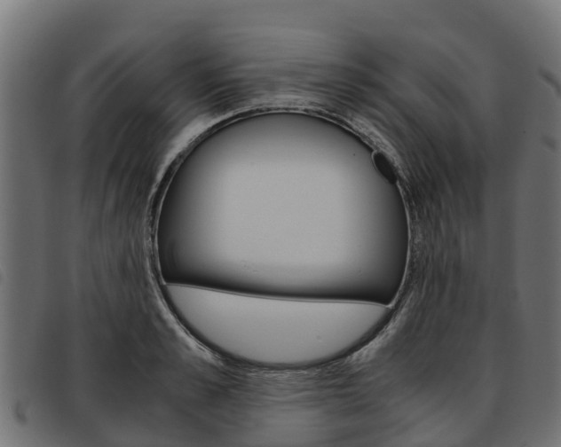 X0000093590989200710151014