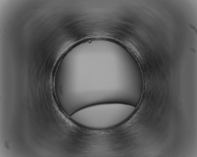 X0000093590990200710151014
