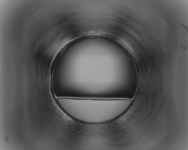 X0000093590992200710151014