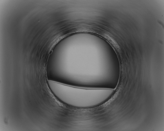 X0000093590993200710151014