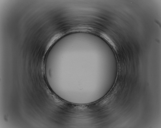 X0000093590994200710151013