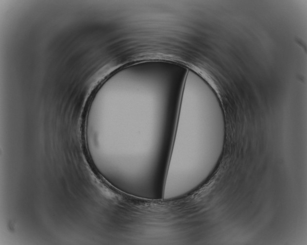 X0000093590995200710151013