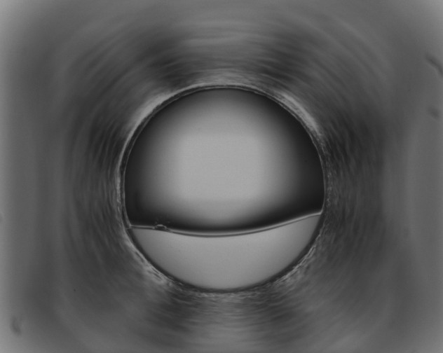 X0000093590996200710151013