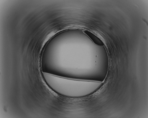 X0000093590997200710151013