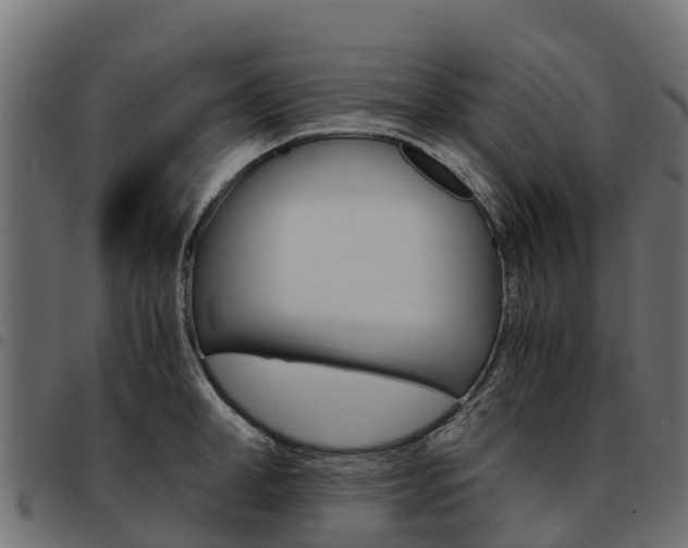 X0000093590998200710151013