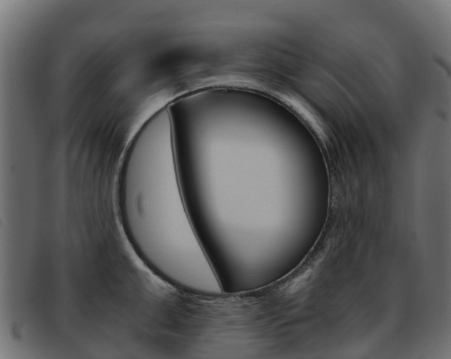 X0000093590999200710151013