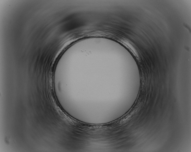 X0000093591000200710151013