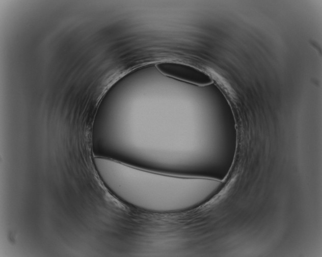X0000093591001200710151013