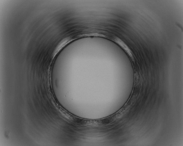 X0000093591002200710151013