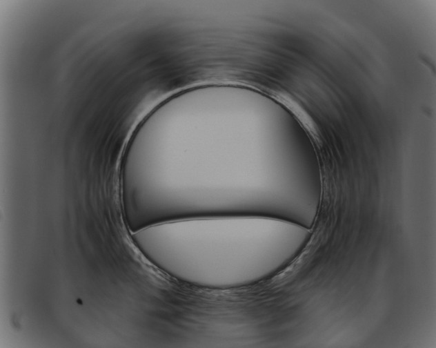 X0000093591004200710151013