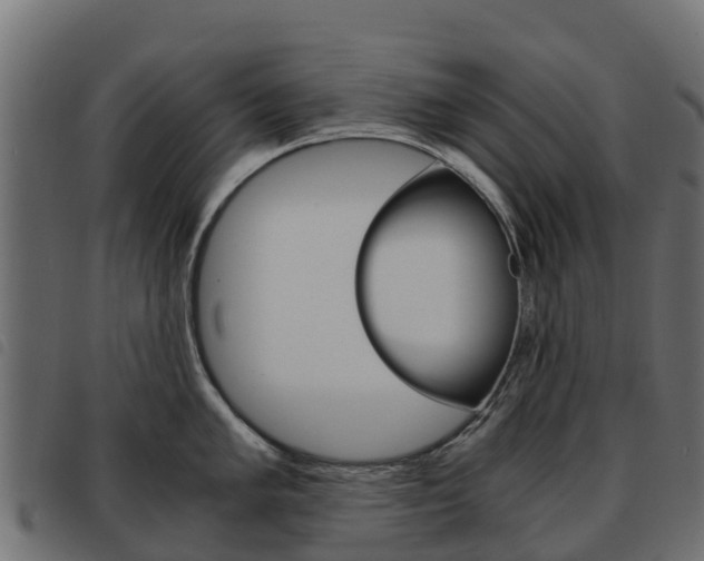 X0000093591005200710151013