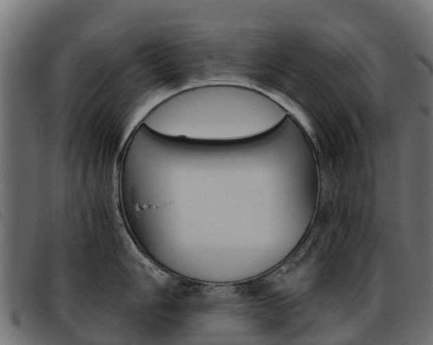X0000093591006200710151013