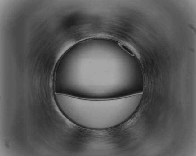 X0000093591007200710151013