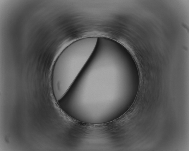 X0000093591008200710151013