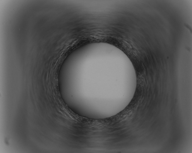 X0000093591009200710151013