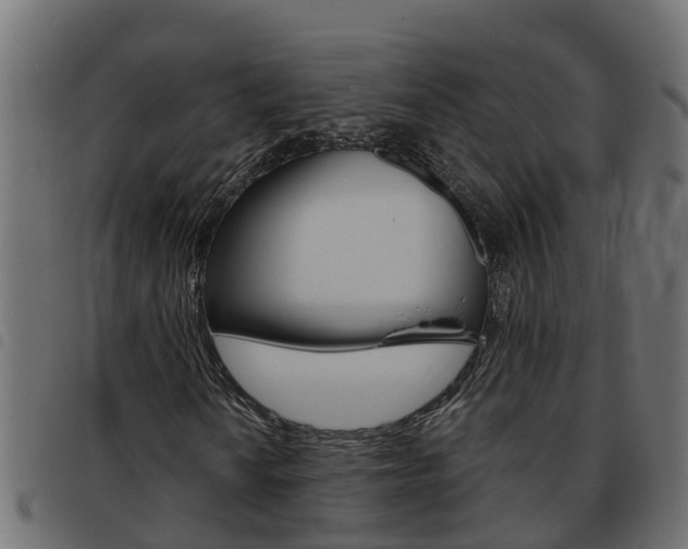 X0000093591010200710151013
