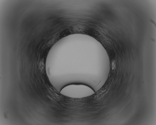 X0000093591011200710151013