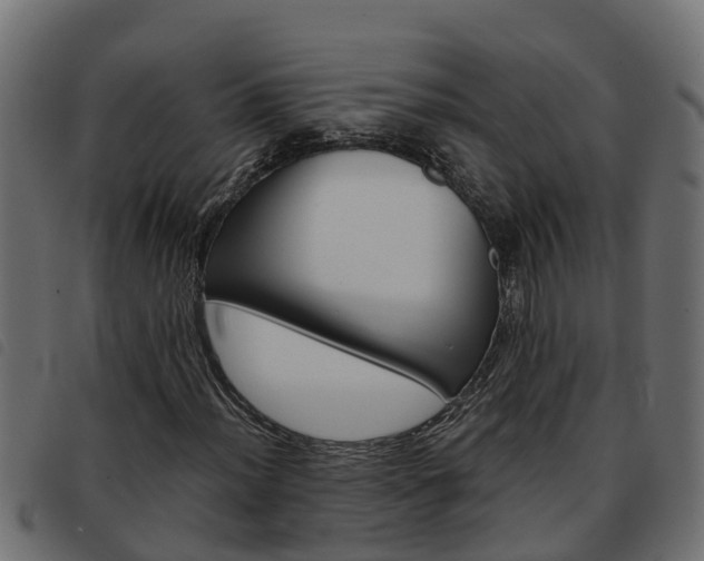 X0000093591012200710151013