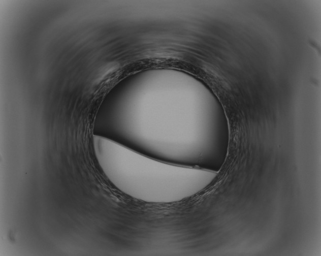 X0000093591014200710151013