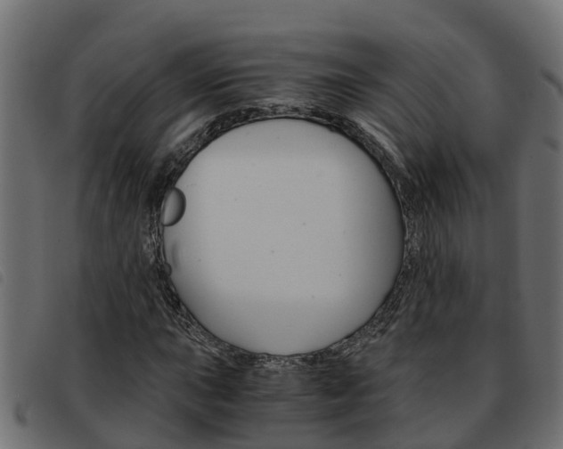 X0000093591015200710151013